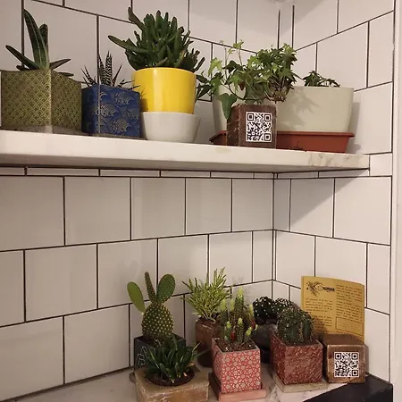 Apartamento Caesar